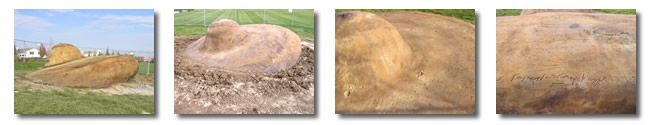 four photos of saucer
